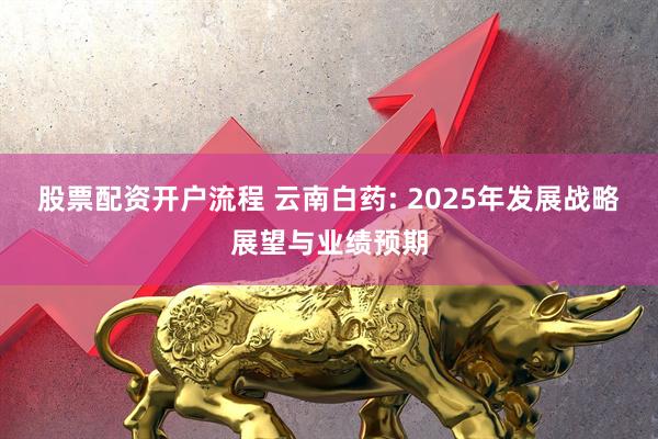 股票配资开户流程 云南白药: 2025年发展战略展望与业绩预期