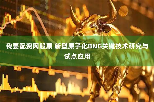 我要配资网股票 新型原子化BNG关键技术研究与试点应用