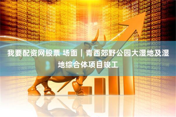我要配资网股票 场面｜青西郊野公园大湿地及湿地综合体项目竣工